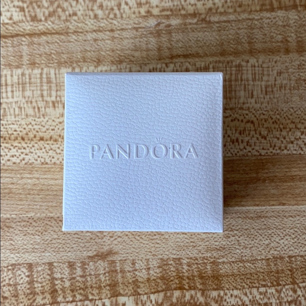 Pandora Charms!